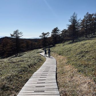 湿原の中の木道その1