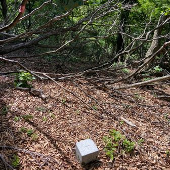 瀬戸山頂上　三等三角点　瀬戸山　1,039.87m