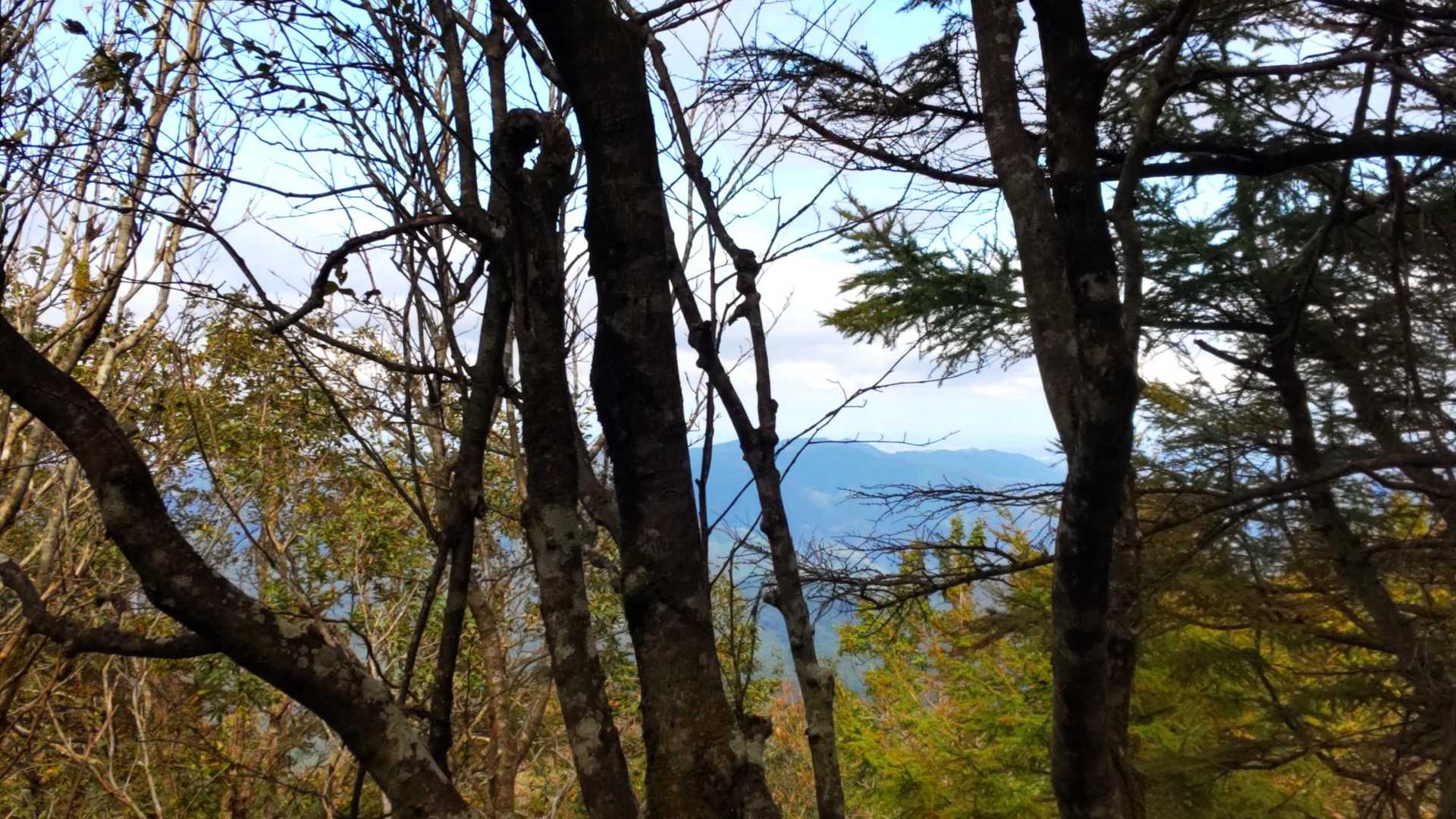 やっと気分転換
ちょっとだけ景色