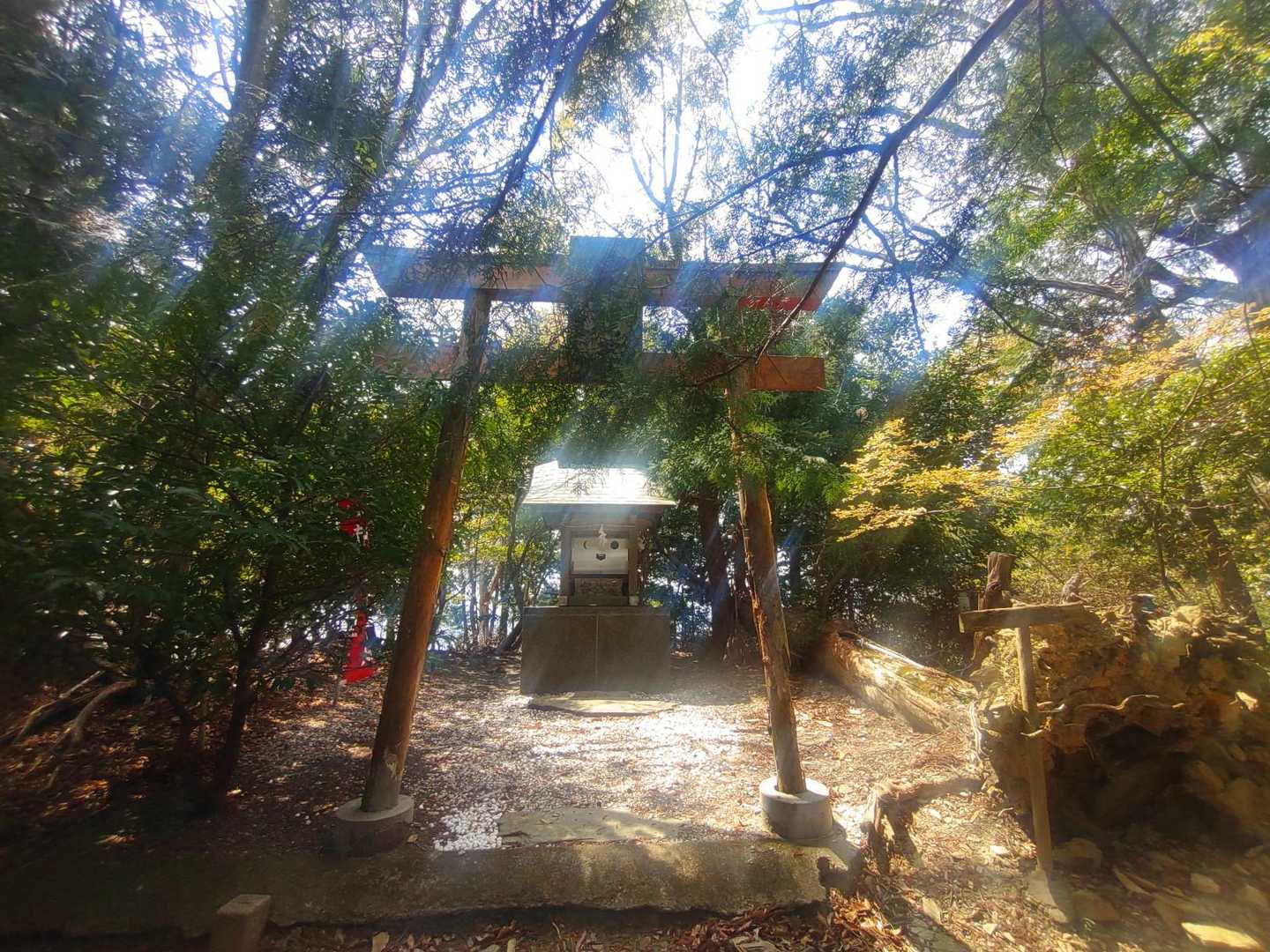 西龍王山-蝦尾僧越-東龍王山 縦走コースの写真