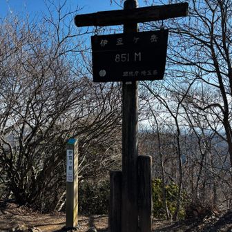 伊豆ヶ岳
ココは少し頂上広め
風強く
直ぐに撤退しました