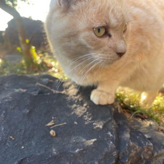 餌食べてくれました。