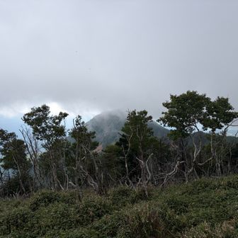 雨ふり