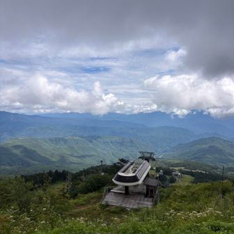 ここなら良い朝日雲海景色みれたかも…次回はヘッドライトつけて登ってみよー