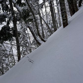 こんな傾斜のラッセル💦
これは一歩踏み出しても戻されるでしょ