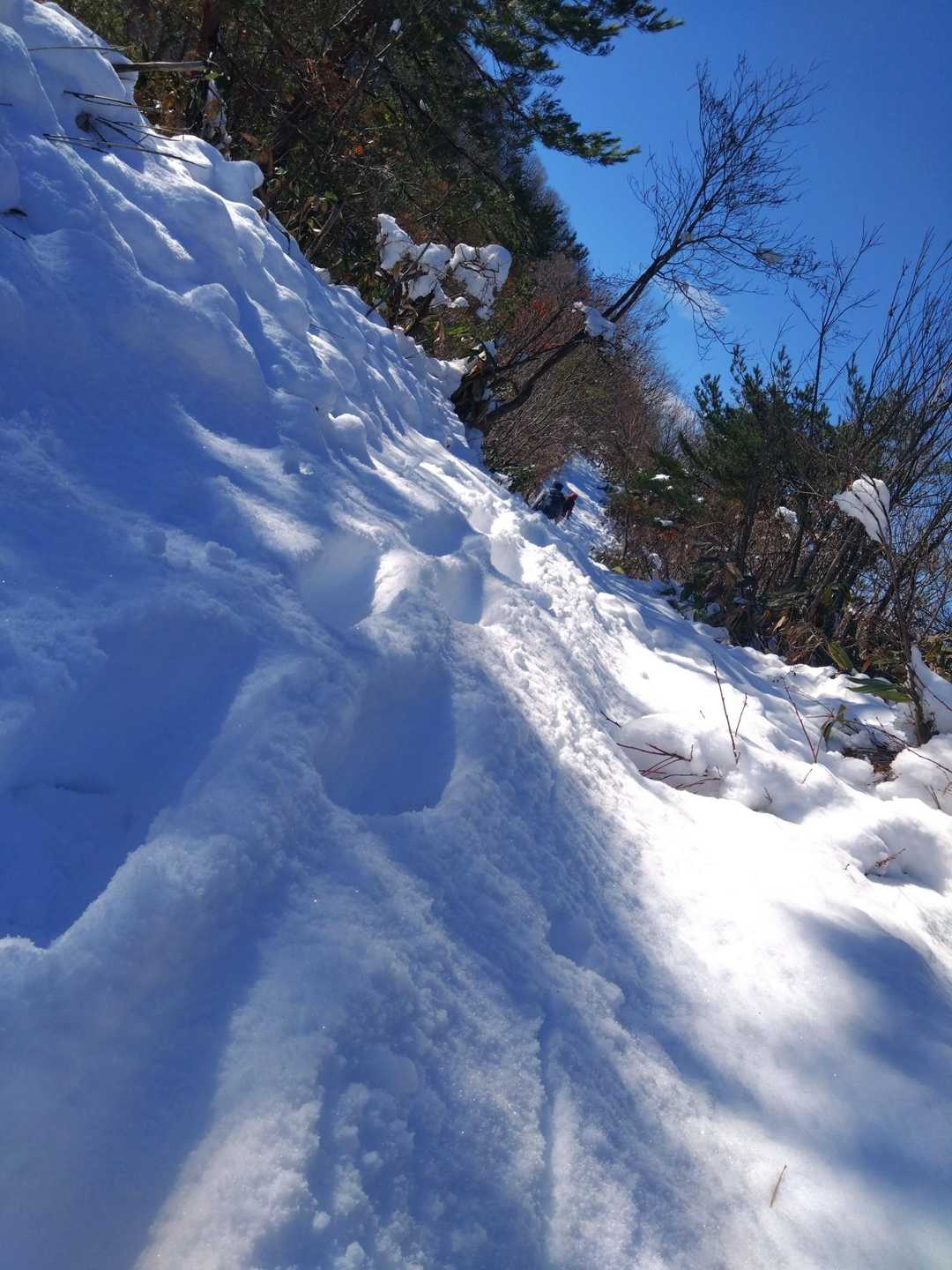 先を歩く2人の👣
1歩1歩👣辿る
ありがとうございます🙏
御守りに軽アイゼン持って来たけど、ワカンレベル😨
30cmくらいある？
