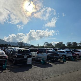駐車場埋まっているように見えますが、まだ奥のほうに空きがありました。
