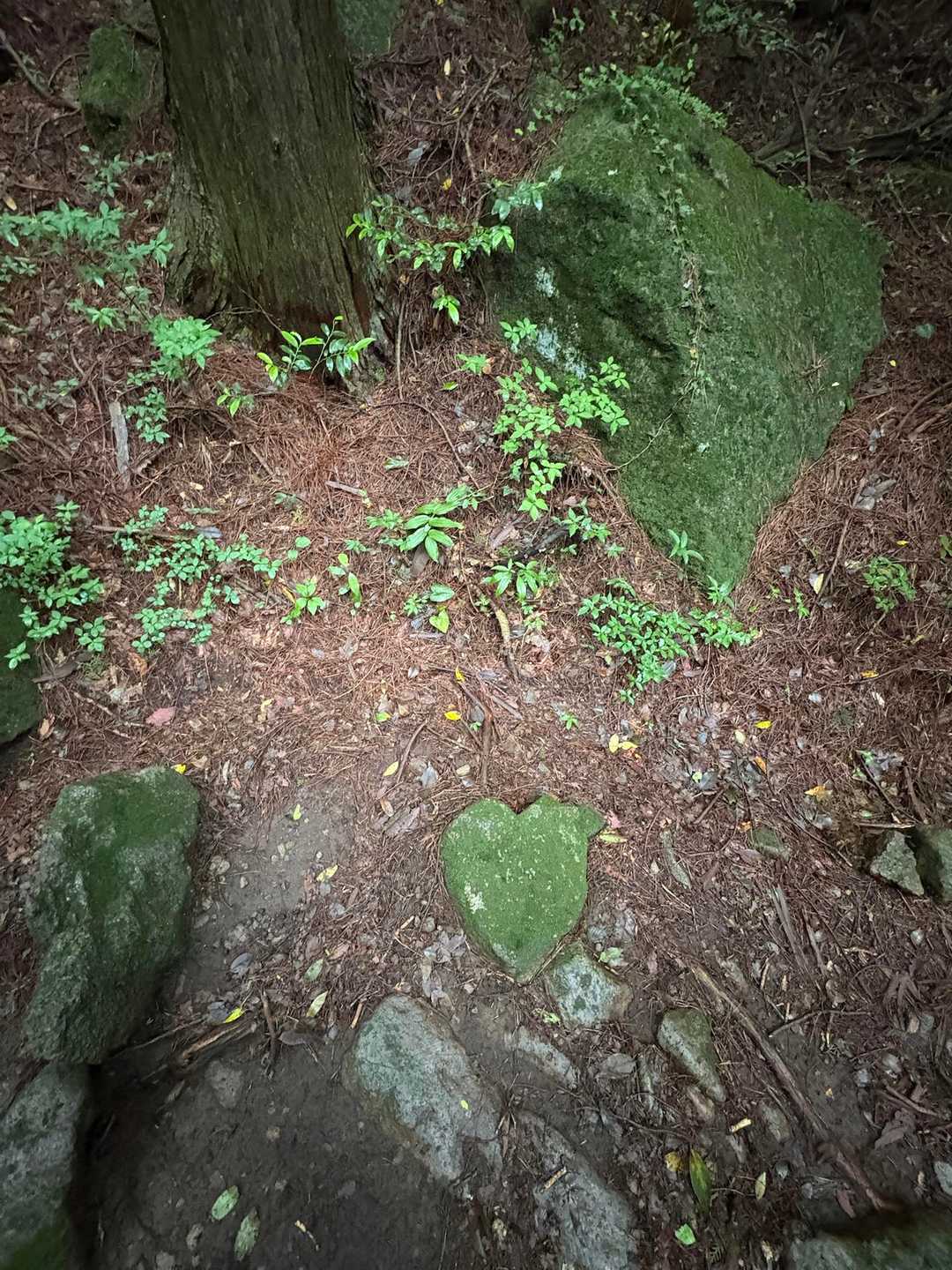 ハート💚