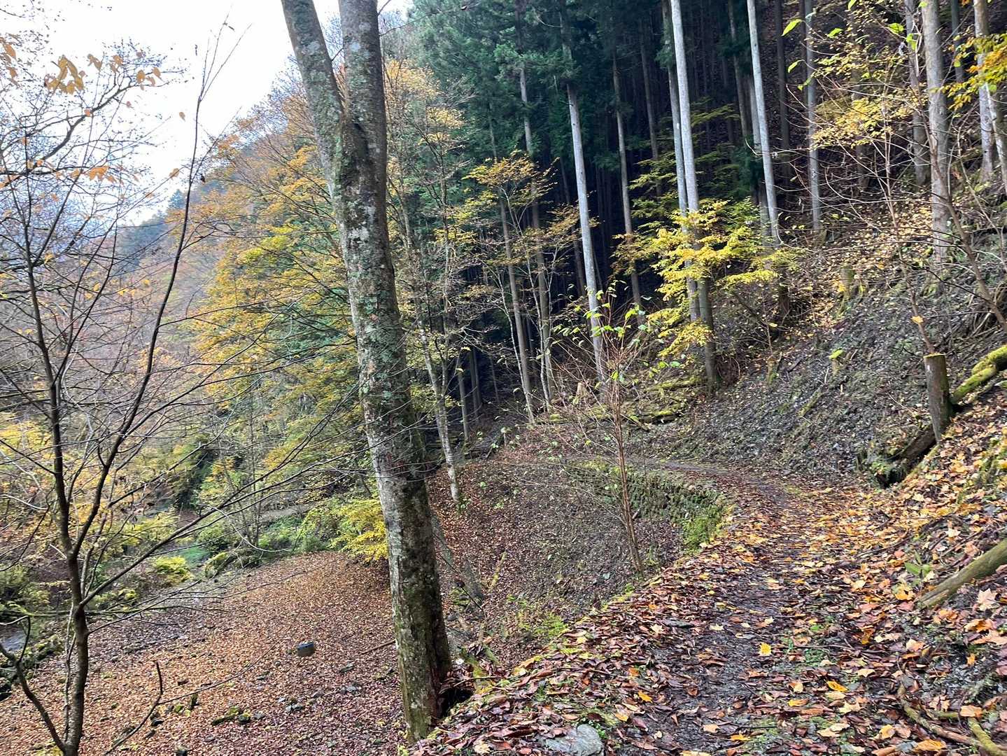 さ、紅葉狩りもおしまい。
