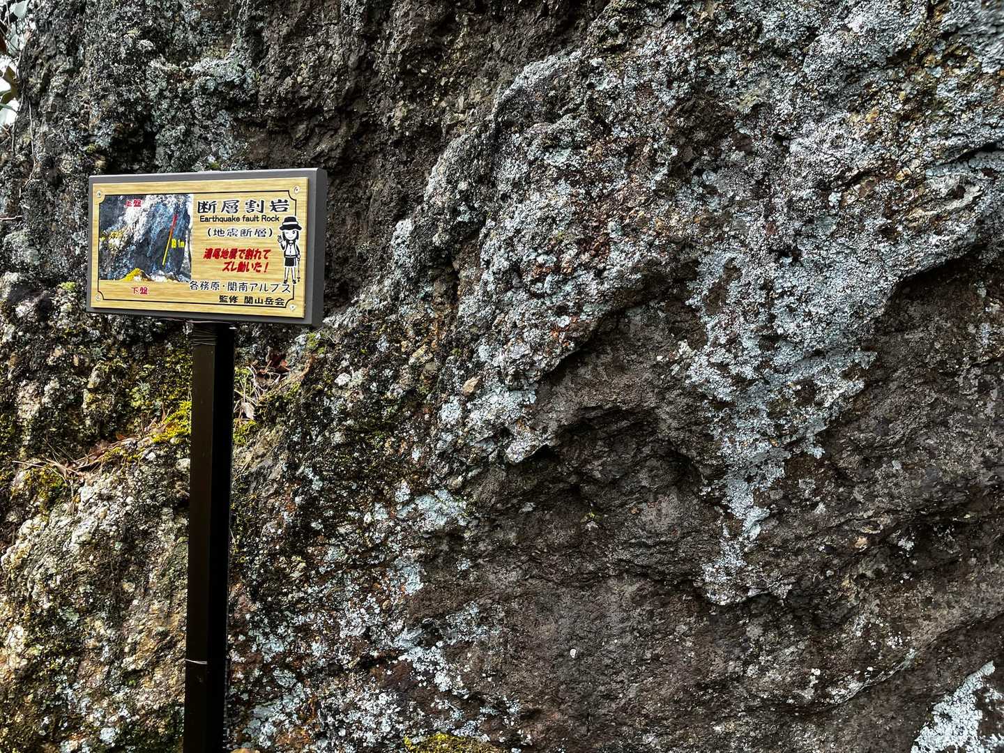 金山-岩坂峠-岩坂山-須衛山-向山 往復コースの写真