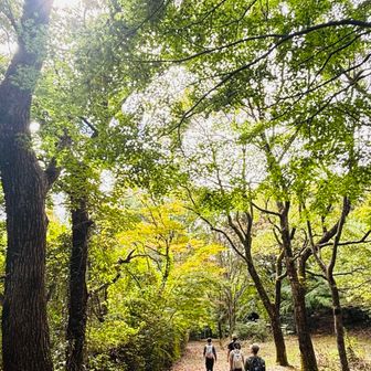 一旦下り、本日最後の耳納山向かいます。
