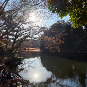 🎣数人の方が釣りをされてました
何が釣れる？鯉？フナ？
ブラックバスもいるのかな？🐟