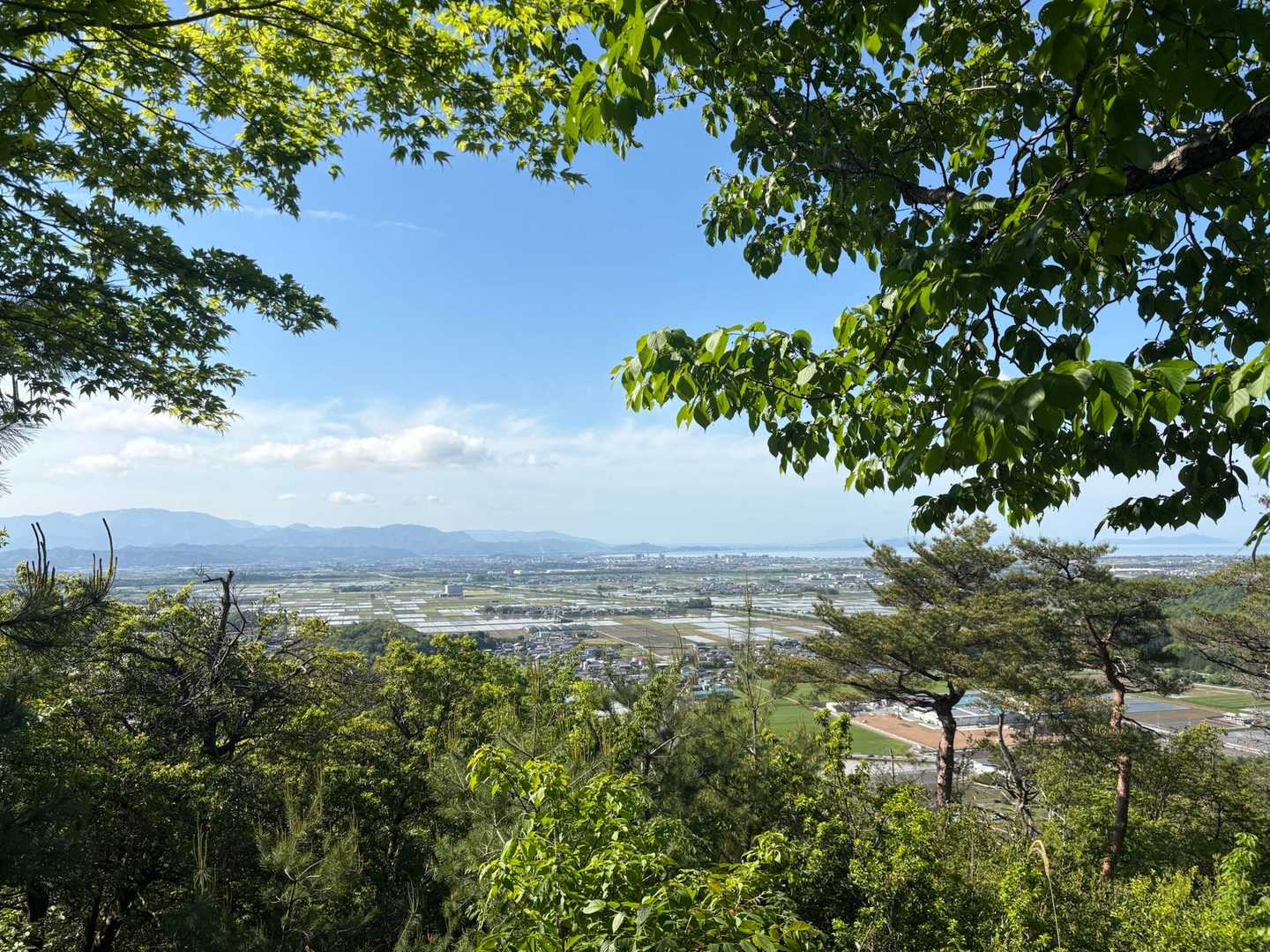 時々眺望が開けるので🪟楽しい😃

霊仙山や長浜城🏯、彦根城🏯なんかも見える👀