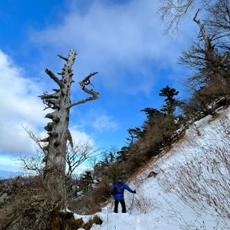 なかなかにつぼ足で疲れ
先頭を変わりながら歩きます🥾

このルート…
寒波の後、雪が深くなったら厳しそう😵