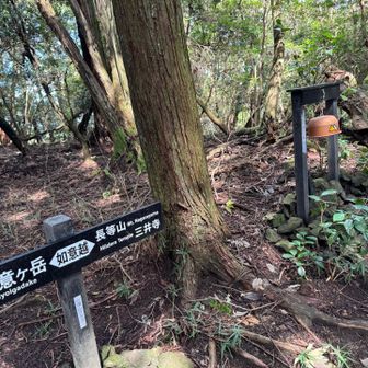 わぁ〜ん💦ってなりながらも、苦手な所を無事通過し喜びの鐘を鳴らしときました🔔🔔🔔