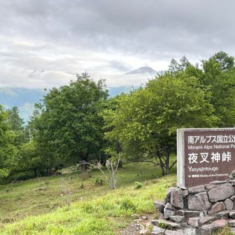 夜叉神口から夜叉神峠へ。今日は展望はちょこっとだけ。雲が大半。