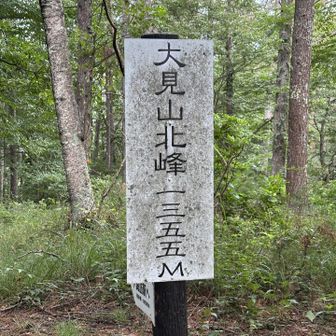 大見山北峰に着いたで🏔️
ここが最初のピークってやつですな🎵
かなり登って
さすがに疲れたで😮‍💨

10分しか歩いてね〜だろっ👊💢