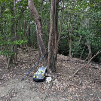 展望無し