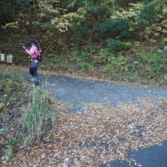 登山口から入っていきます