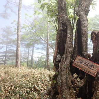 晴れてるけどガスが来てしまったか