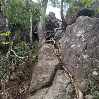 大きな岩があった
　登りかけたけど、ちょっと怖かったので諦めました
　ココで怪我しちゃったらいけないもの