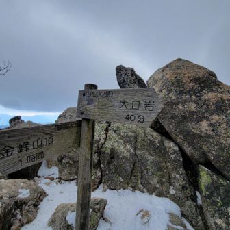 この先は基本稜線歩き
→天気悪い日はあだになりますね。