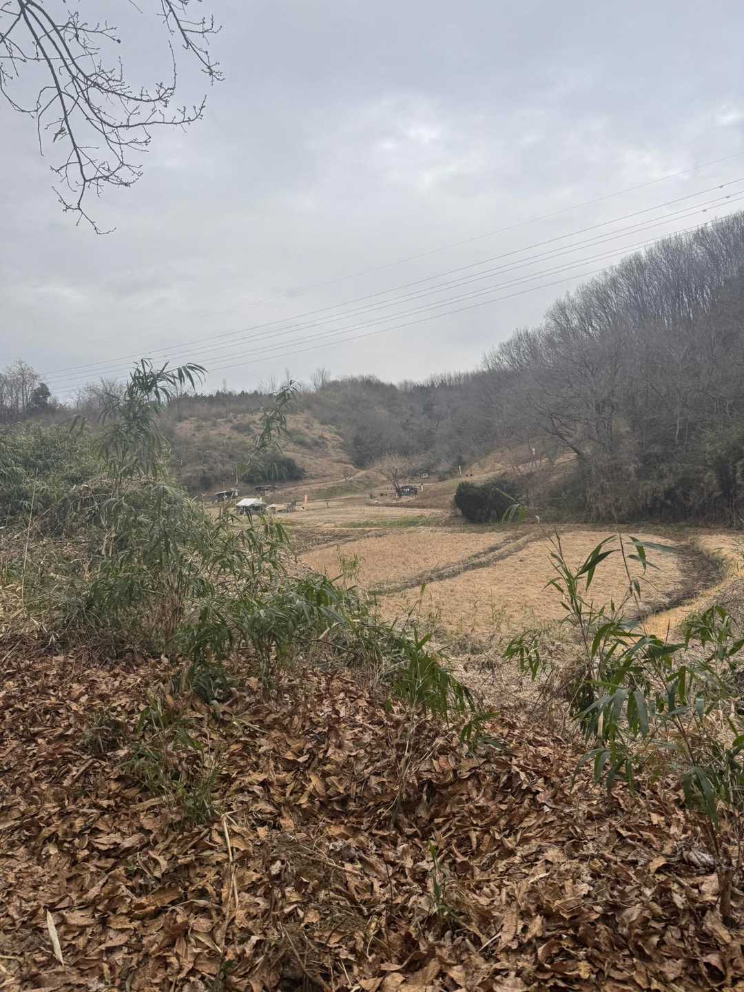 広場が見えてきました。