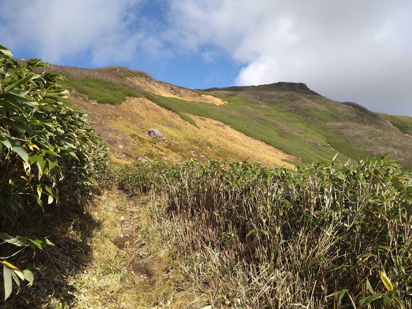 千走登山口-南狩場山-狩場山-前山 往復コースの写真