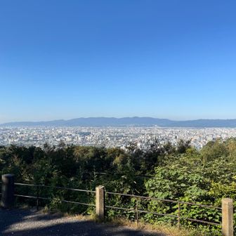 いい天気どすわ☀️