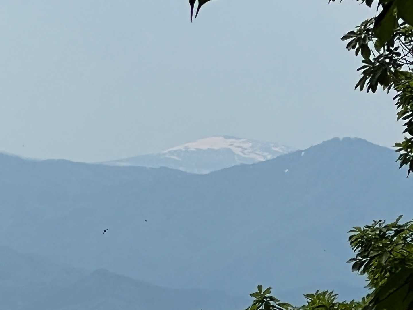 森吉山🏔おおーー！