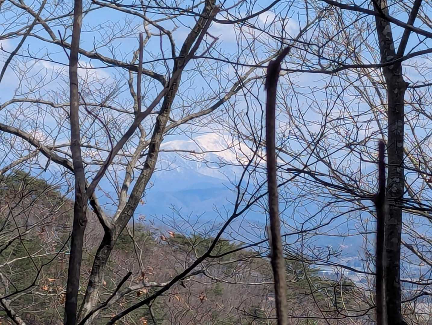 木々の間から早池峰山🏔️