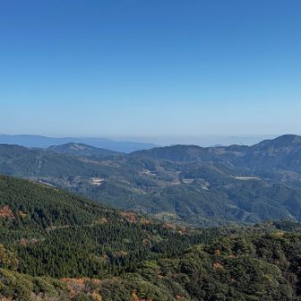 奥作礼周回ルート💫人工林の一部色が違うのは作業道❓
何らかの道があるのでしょうね👀