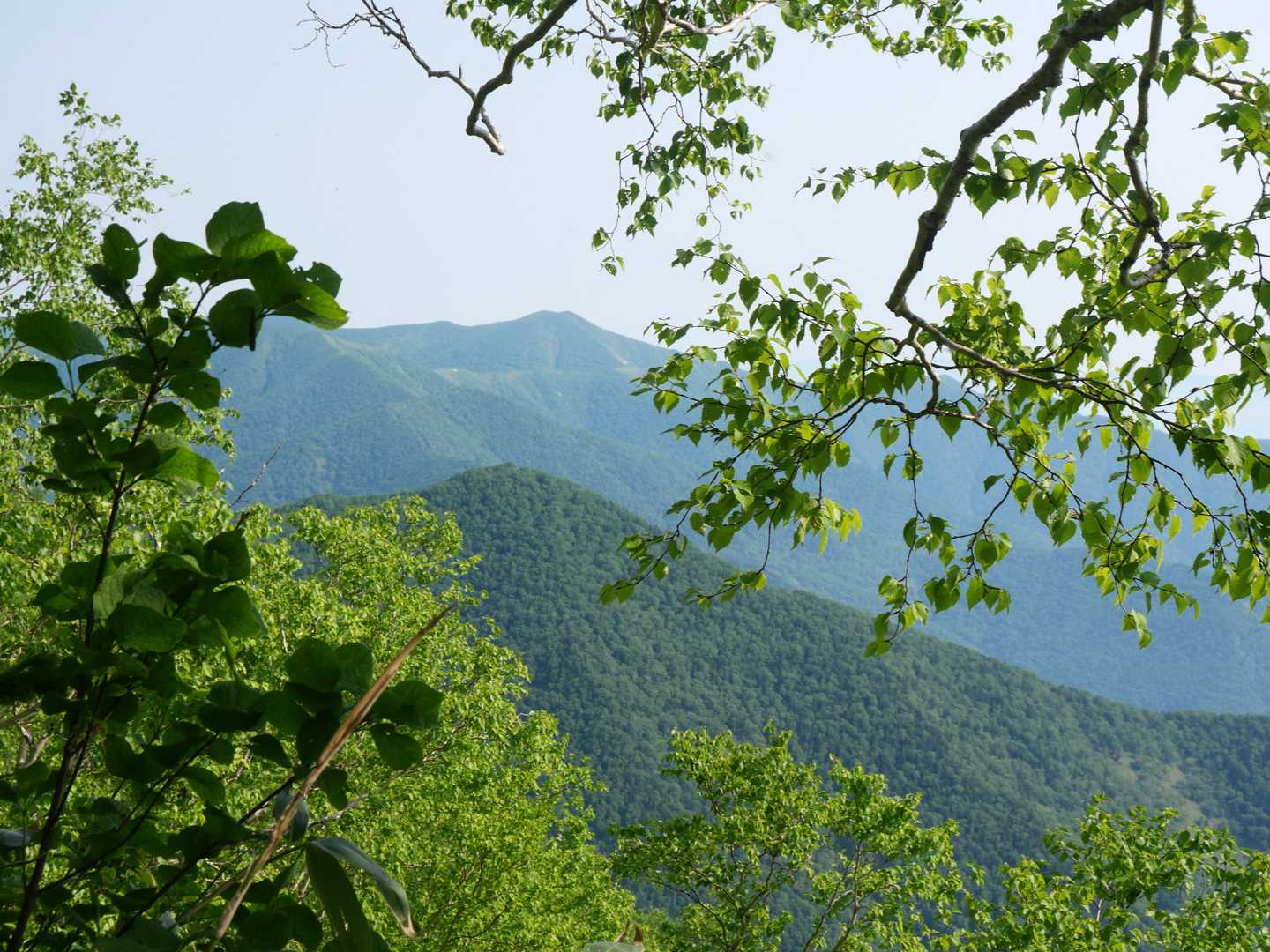 車両ゲート-伏美岳登山口-伏美岳 往復コースの写真
