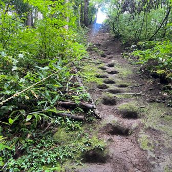 なんか随所に温かみを感じるな。理想的な里山じゃて。