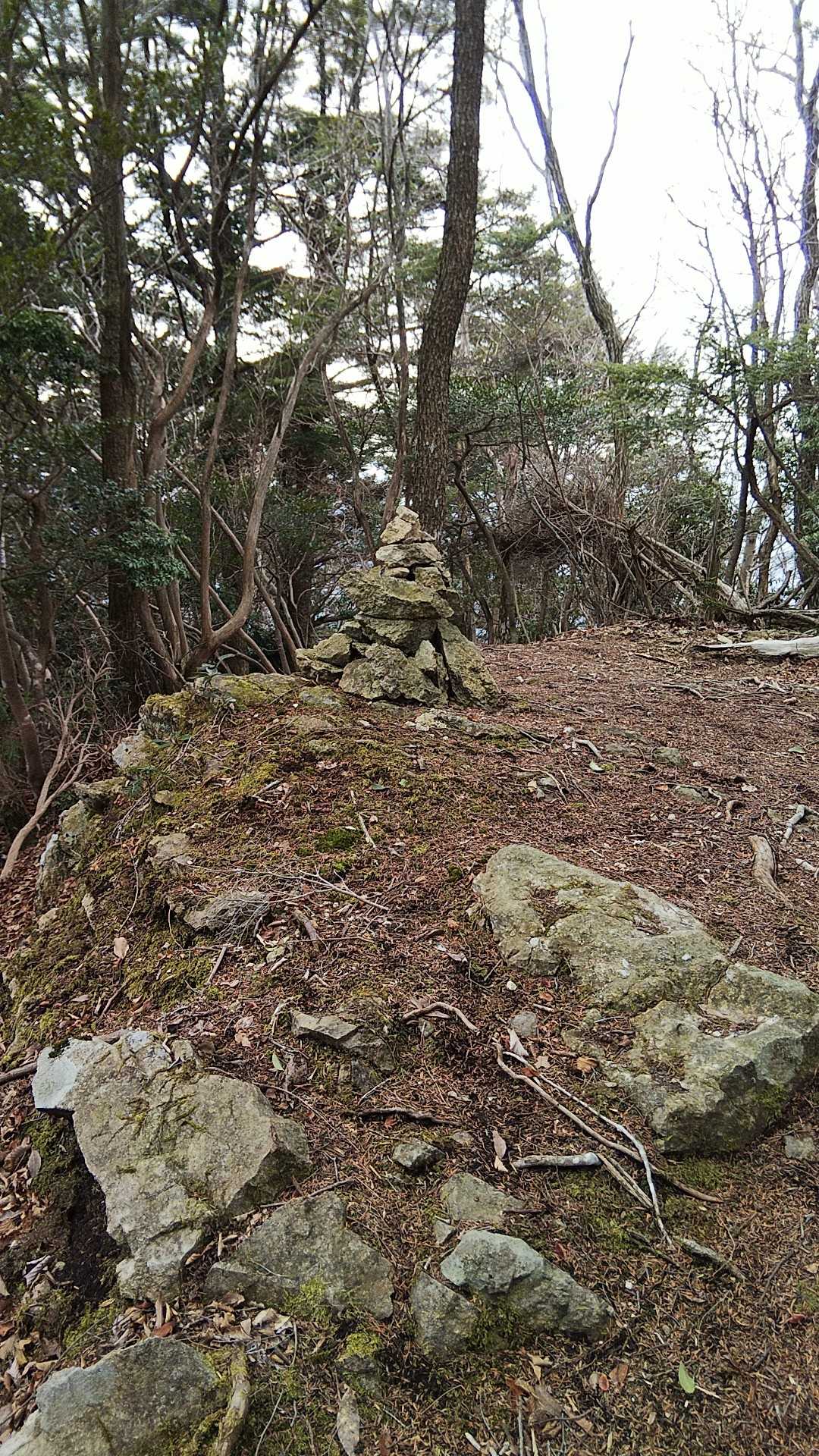 太郎岳到着。看板・展望なし。