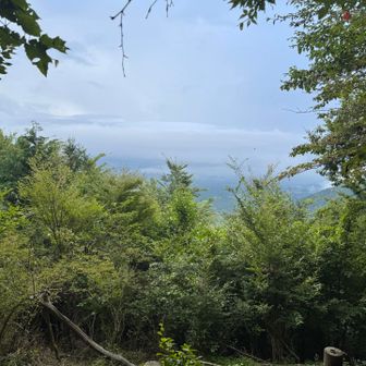 登山口近くまで降ってた雨も止んでる。