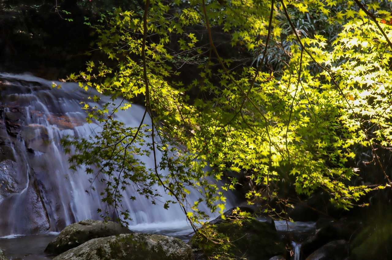 二丈岳 往復 | 沢沿いを涼しく歩き、山頂の巨岩から糸島の絶景を楽しむの写真