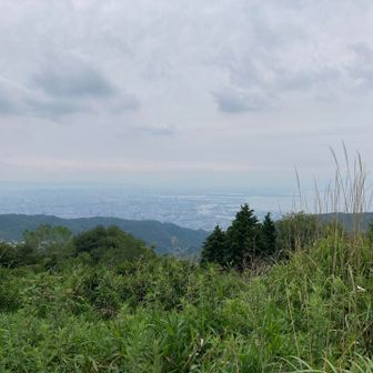 曇っているのがちょっと残念