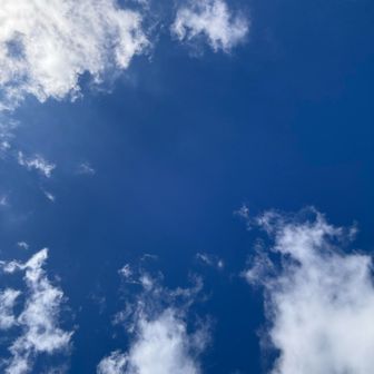 秋の空は高くて明神ブルー🟦

👩カラッとしてて気持ちいい季節になって来た