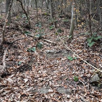 急登り、体力は限界点