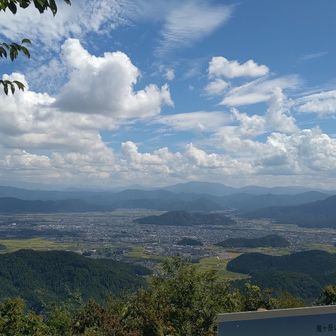 結構ヒィヒィで山頂へ躍り出る　暑いのはやっぱり消耗早いなぁ🥵