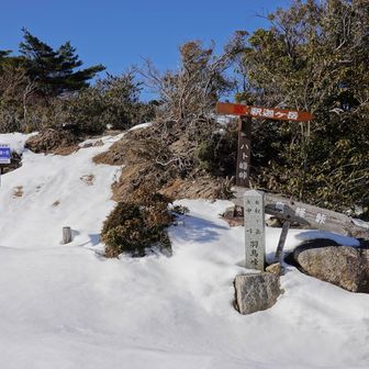 今日は根の平峠まで歩く予定だったけど、心身ともに疲れたのでここから下山