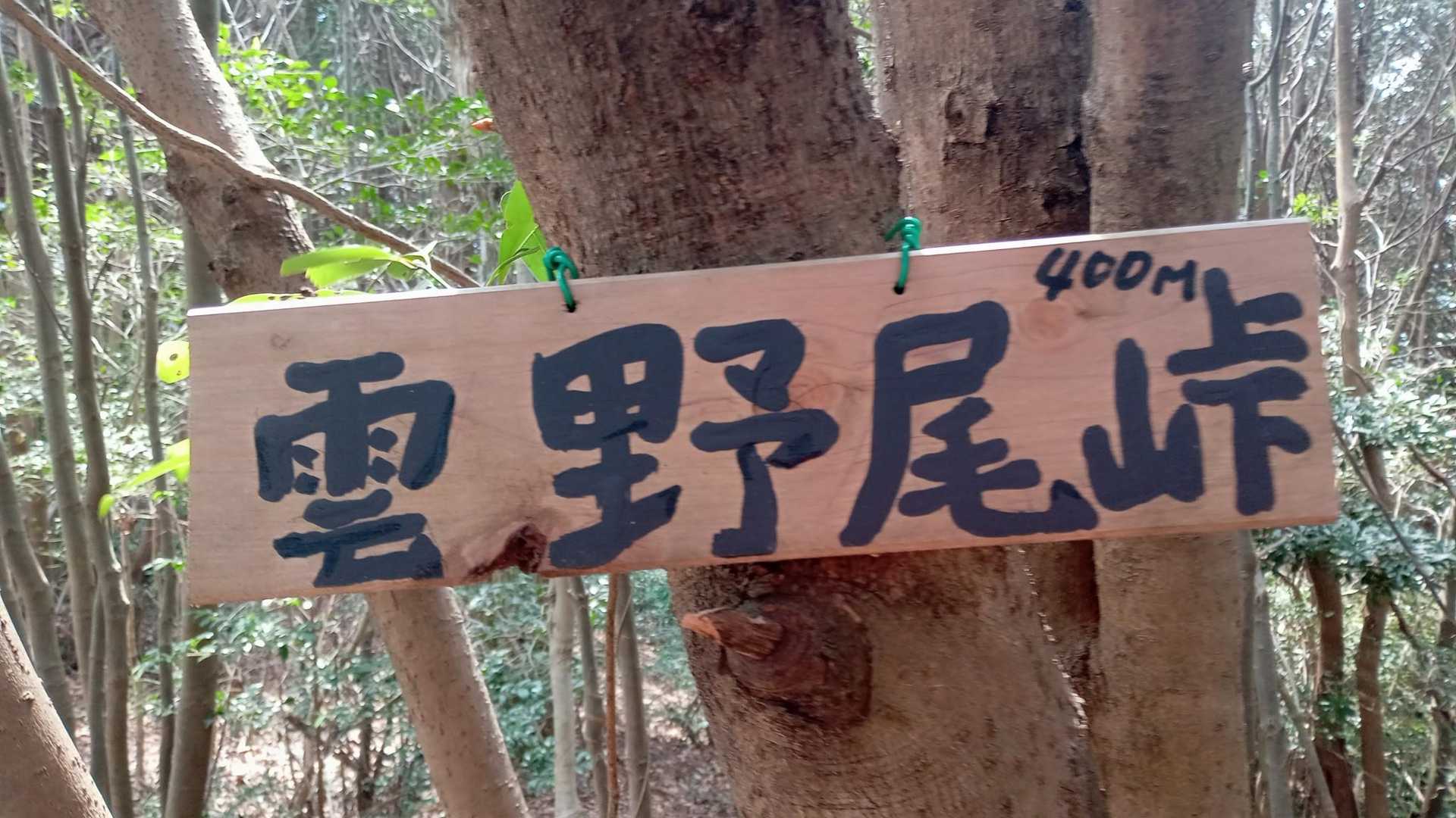 雲野尾峠という、ピーク！

最後のピークながら眺望ないため即下山