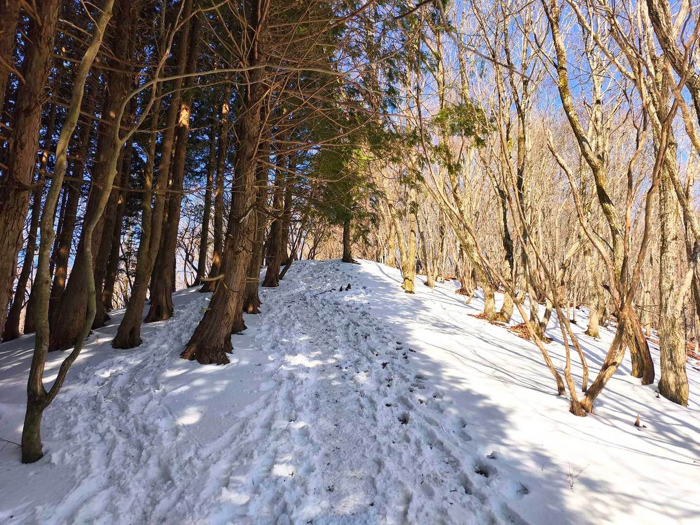 けっこう雪あります❄️