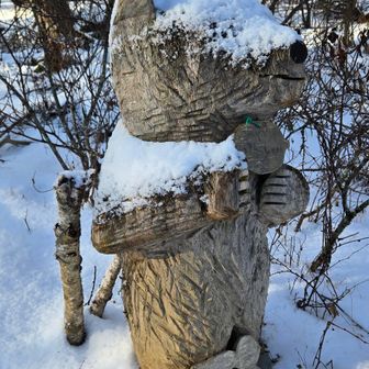 木彫りの🐻熊さん