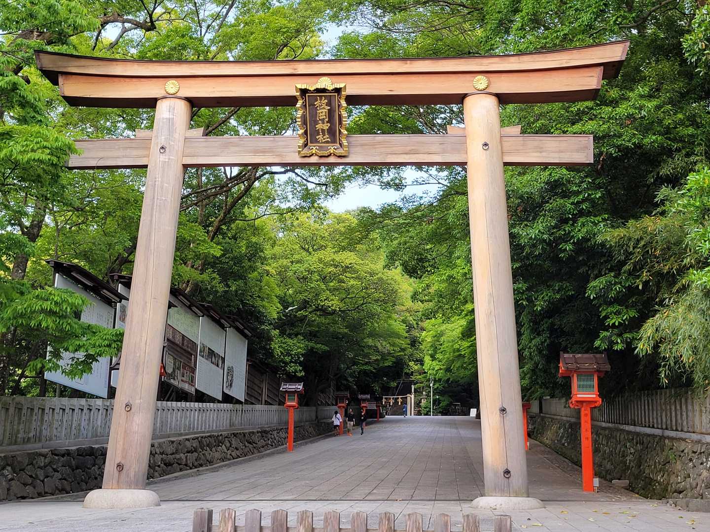 下りてきました。
