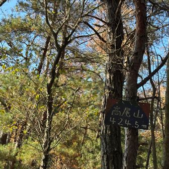 山頂到着
折り返します