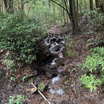 大中寺からスタートし桜峠方面へ

雨天続きだったからか晃石山からの枯れ沢に水が流れているのを初めて見ました😳