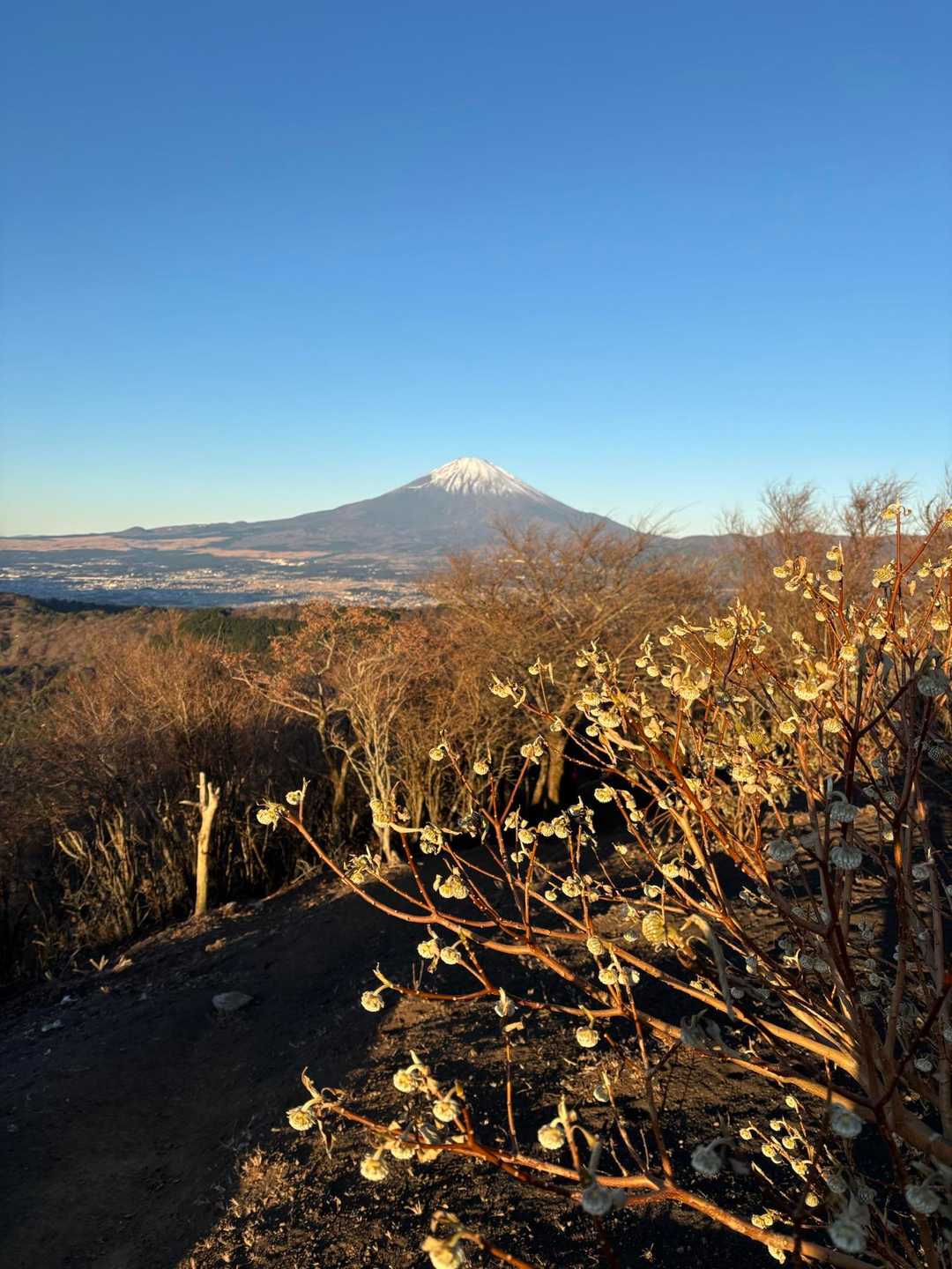 万葉公園バス停-清水越-矢倉岳 往復コースの写真