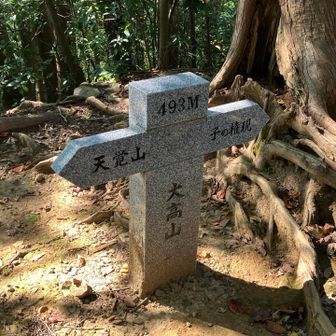 立派ですが、山の持ち主の許可なく設置したらしい。